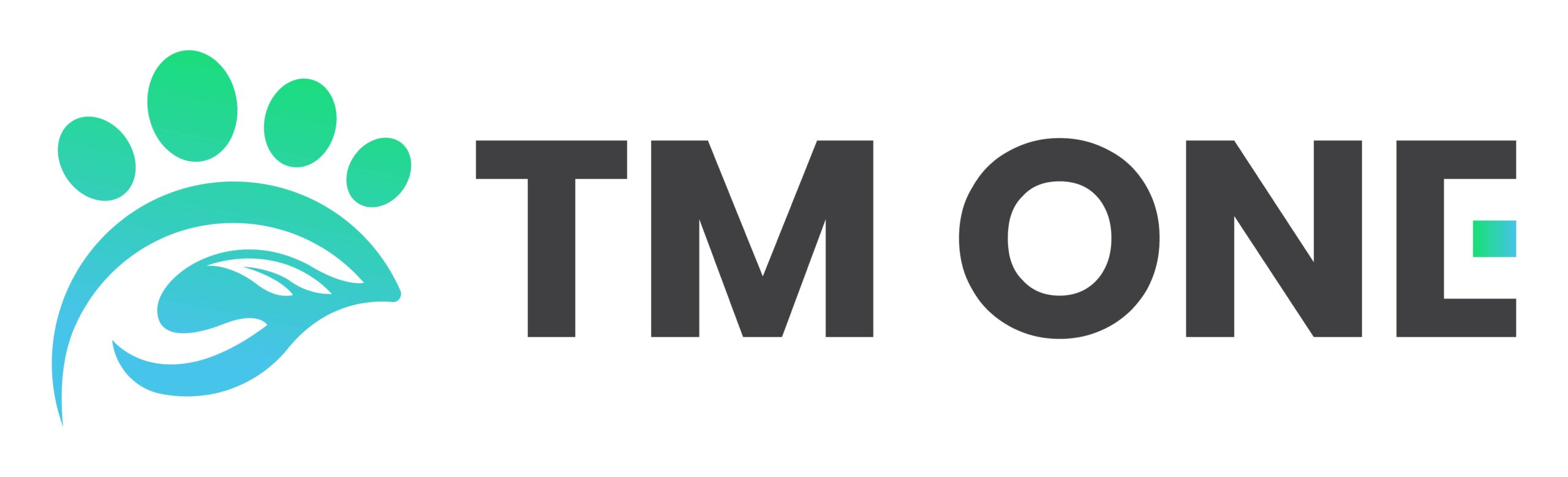 TM ONE